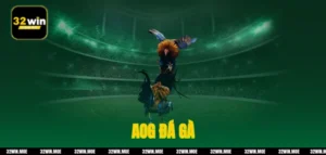 AOG đá gà