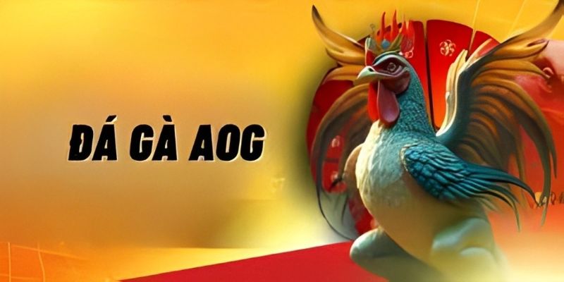 Kiếm tiền hiệu quả với kèo chọi kê AOG