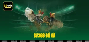 SV368 Đá Gà